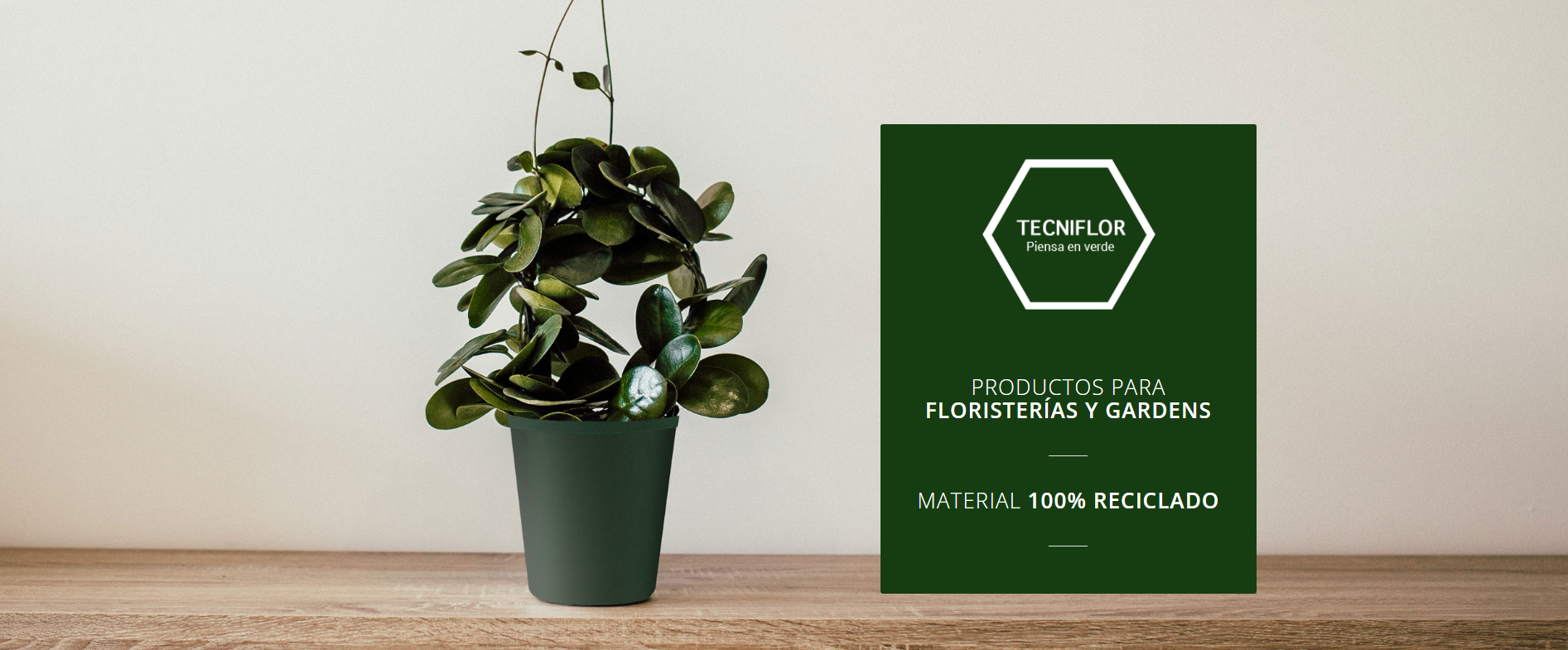 Tecniflor | Productos para floristerías y gardens